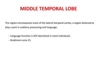 MIDDLE TEMPORAL LOBE
The region encompasses most of the lateral temporal cortex, a region believed to
play a part in auditory processing and language.
- Language function is left lateralized in most individuals.
- Brodmann area 21.
 
