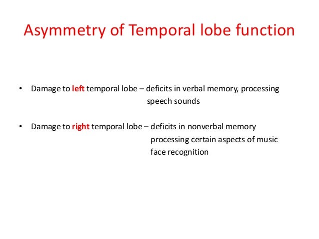 TEMPORAL LOBE FUNCTIONS PDF TEMPORAL LOBE FUNCTIONS PDF