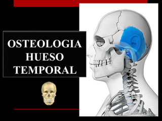 OSTEOLOGIA
HUESO
TEMPORAL
 