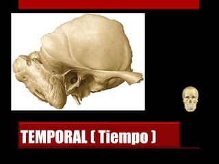 TEMPORAL ( Tiempo )
 