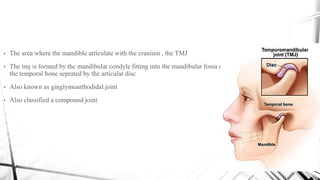 Temporal Compounding Tempormandibular disorders & orthodontics | PPTX