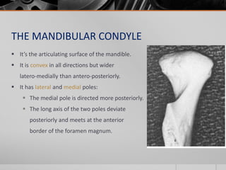 THE MANDIBULAR CONDYLE
 It’s the articulating surface of the mandible.
 It is convex in all directions but wider
   late...