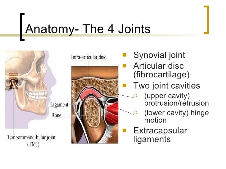 Temporomandibular Joint