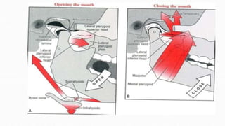 Temporomandibular joint /disorders /management / treatment | PPTX