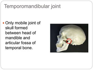 Temporomandibular joint
 Only mobile joint of
skull formed
between head of
mandible and
articular fossa of
temporal bone.
 