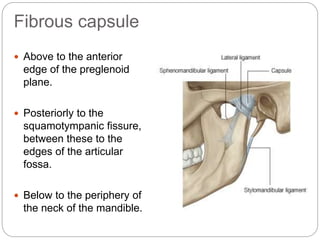 Fibrous capsule
 Above to the anterior
edge of the preglenoid
plane.
 Posteriorly to the
squamotympanic fissure,
between these to the
edges of the articular
fossa.
 Below to the periphery of
the neck of the mandible.
 
