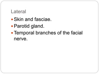 Lateral
 Skin and fasciae.
 Parotid gland.
 Temporal branches of the facial
nerve.
 