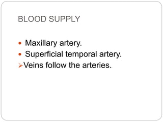 BLOOD SUPPLY
 Maxillary artery.
 Superficial temporal artery.
Veins follow the arteries.
 