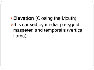  Elevation (Closing the Mouth)
It is caused by medial pterygoid,
masseter, and temporalis (vertical
fibres).
 