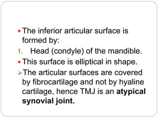  The inferior articular surface is
formed by:
1. Head (condyle) of the mandible.
 This surface is elliptical in shape.
The articular surfaces are covered
by fibrocartilage and not by hyaline
cartilage, hence TMJ is an atypical
synovial joint.
 