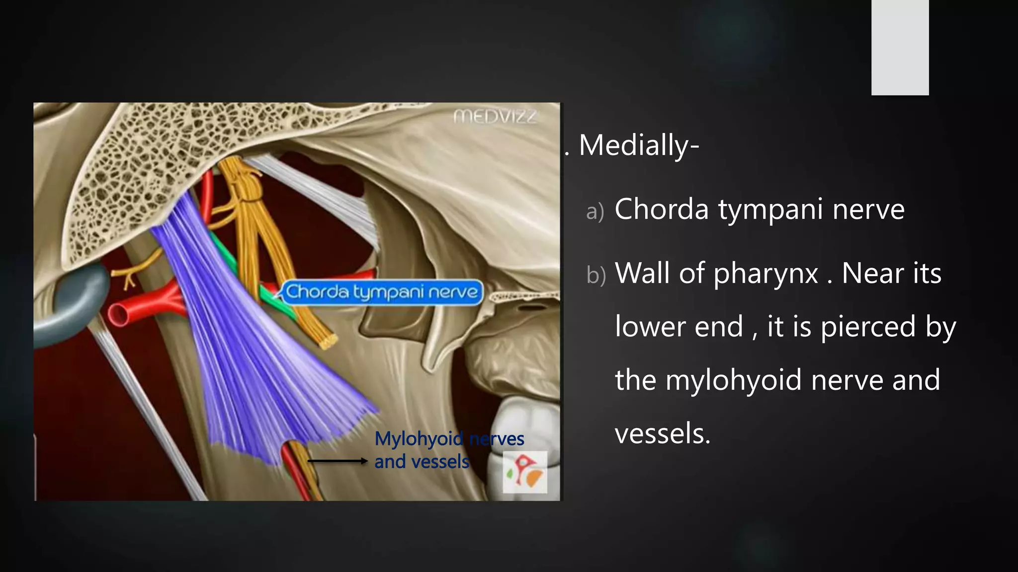temporomandibular joint.pptx