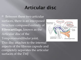 Temporo mandibular joint and its disorders | PPTX