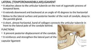 Temporomandibular Joint.pptx HUMAN ANATOMY HEAD AND NECK | PPTX