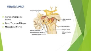 NERVE SUPPLY
 Auriculotemporal
nerve
 Deep Temporal Nerve
 Masseteric Nerve
 