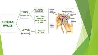 ARTICULAR
SURFACES
UPPER
(TEMPORAL)
ARTICULAR
EMINENCE
ANTERIOR
PART OF
MANDIBULAR
FOSSA
LOWER
(MANDIBLE)
CONDYLAR
PROCESS
 