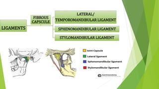 LIGAMENTS
LATERAL/
TEMPOROMANDIBULAR LIGAMENT
SPHENOMANDIBULAR LIGAMENT
STYLOMANDIBULAR LIGAMENT
FIBROUS
CAPSCULE
 