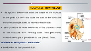 SYNOVIAL MEMBRANE
 The synovial membrane lines the inside of the capsule
of the joint but does not cover the disc or the articular
surfaces (condyle, fossa or articular eminence).
 The synovium is most abundant in the bilaminar zone
of the articular disc, forming loose folds posteriorly
when the condyle is positioned in the glenoid fossa.
Function of the synovial membrane
 Production of the synovial fluid.
 