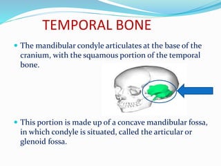 TEMPORAL BONE
 The mandibular condyle articulates at the base of the
cranium, with the squamous portion of the temporal
bone.
 This portion is made up of a concave mandibular fossa,
in which condyle is situated, called the articular or
glenoid fossa.
 
