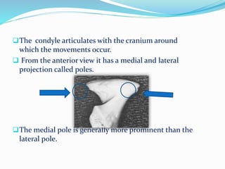 The condyle articulates with the cranium around
which the movements occur.
 From the anterior view it has a medial and lateral
projection called poles.
The medial pole is generally more prominent than the
lateral pole.
 