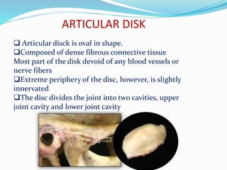 ARTICULAR DISK
 Articular disck is oval in shape.
Composed of dense fibrous connective tissue
Most part of the disk devoid of any blood vessels or
nerve fibers
Extreme periphery of the disc, however, is slightly
innervated
The disc divides the joint into two cavities, upper
joint cavity and lower joint cavity
 