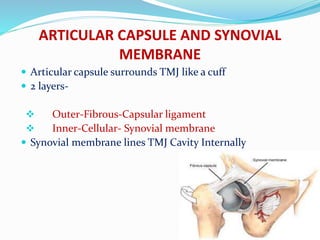 ARTICULAR CAPSULE AND SYNOVIAL
MEMBRANE
 Articular capsule surrounds TMJ like a cuff
 2 layers-
 Outer-Fibrous-Capsular ligament
 Inner-Cellular- Synovial membrane
 Synovial membrane lines TMJ Cavity Internally
 
