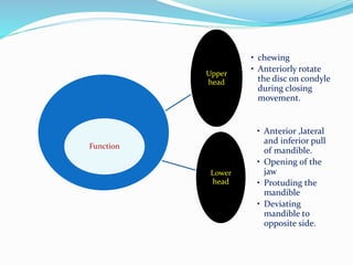 Upper
head
• chewing
• Anteriorly rotate
the disc on condyle
during closing
movement.
Lower
head
• Anterior ,lateral
and inferior pull
of mandible.
• Opening of the
jaw
• Protuding the
mandible
• Deviating
mandible to
opposite side.
Function
 