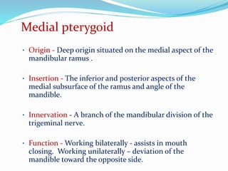 Medial pterygoid
• Origin - Deep origin situated on the medial aspect of the
mandibular ramus .
• Insertion - The inferior and posterior aspects of the
medial subsurface of the ramus and angle of the
mandible.
• Innervation - A branch of the mandibular division of the
trigeminal nerve.
• Function - Working bilaterally - assists in mouth
closing. Working unilaterally – deviation of the
mandible toward the opposite side.
 