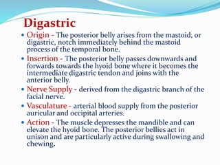 Digastric
 Origin - The posterior belly arises from the mastoid, or
digastric, notch immediately behind the mastoid
process of the temporal bone.
 Insertion - The posterior belly passes downwards and
forwards towards the hyoid bone where it becomes the
intermediate digastric tendon and joins with the
anterior belly.
 Nerve Supply - derived from the digastric branch of the
facial nerve.
 Vasculature - arterial blood supply from the posterior
auricular and occipital arteries.
 Action - The muscle depresses the mandible and can
elevate the hyoid bone. The posterior bellies act in
unison and are particularly active during swallowing and
chewing.
 