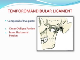 TEMPOROMANDIBULAR LIGAMENT
 Composed of two parts:
1. Outer Oblique Portion
2. Inner Horizontal
Portion
 