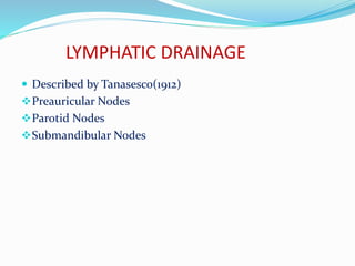 LYMPHATIC DRAINAGE
 Described by Tanasesco(1912)
Preauricular Nodes
Parotid Nodes
Submandibular Nodes
 