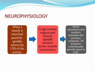 NEUROPHYSIOLOGY
Golgi tendon
organs and
muscle
spindle
monitor
active muscle
contraction.
Joints
movement and
tendon’s
stimulate the
pacinian
corpuscle. All
receptors
continuously
provide input to
CNS.
 