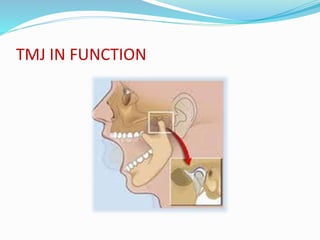 TMJ IN FUNCTION
 