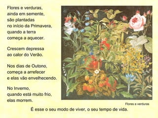 Flores e verduras
Flores e verduras,
ainda em semente,
são plantadas
no início da Primavera,
quando a terra
começa a aquecer.
Crescem depressa
ao calor do Verão.
Nos dias de Outono,
começa a arrefecer
e elas vão envelhecendo.
No Inverno,
quando está muito frio,
elas morrem.
É esse o seu modo de viver, o seu tempo de vida.
 