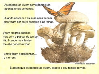 Borboleta a descansar
As borboletas vivem como borboletas
apenas umas semanas.
Quando nascem e as suas asas secam
elas voam por entre as flores e as folhas.
Voam alegres, rápidas,
mas com o passar do tempo,
vão ficando mais lentas,
até não poderem voar.
Então ficam a descansar…
e morrem.
É assim que as borboletas vivem, esse é o seu tempo de vida.
 
