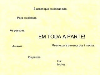 É assim que as coisas são.
As pessoas.
As aves.
Os peixes.
Os
bichos.
Para as plantas.
Mesmo para o menor dos insectos.
EM TODA A PARTE!
 
