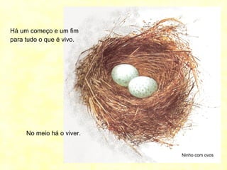 Há um começo e um fim
para tudo o que é vivo.
Ninho com ovos
No meio há o viver.
 