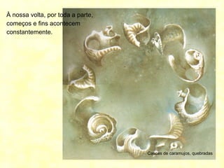 À nossa volta, por toda a parte,
começos e fins acontecem
constantemente.
Cascas de caramujos, quebradas
 