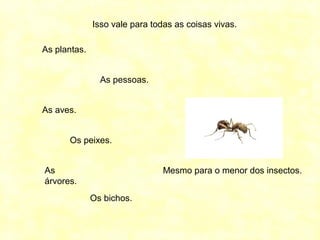 Isso vale para todas as coisas vivas.
As plantas.
As pessoas.
As aves.
Os peixes.
As
árvores.
Os bichos.
Mesmo para o menor dos insectos.
 