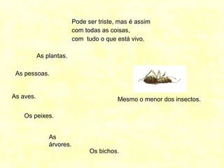 Mesmo o menor dos insectos.
Pode ser triste, mas é assim
com todas as coisas,
com tudo o que está vivo.
As pessoas.
As aves.
Os peixes.
As
árvores.
Os bichos.
As plantas.
 