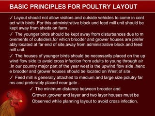 BASIC PRINCIPLES FOR POULTRY LAYOUT
✓ Layout should not allow visitors and outside vehicles to come in cont
act with birds .For this administrative block and feed mill unit should be
kept away from sheds on farm .
✓ The younger birds should be kept away from disturbances due to m
ovements of outsiders,for which brooder and grower houses are prefer
ably located at far end of site,away from administrative block and feed
mill unit.
✓ The houses of younger birds should be necessarily placed on the up
wind flow side to avoid cross infection from adults to young through air
.In our country major part of the year west is the upwind flow side ,henc
e brooder and grower houses should be located on West of site .
✓ Feed mill is generally attached to medium and large size polutry far
ms and preferably placed near gate .
✓ The minimum distance between brooder and
Grower ,grower and layer and two layer houses must be
Observed while planning layout to avoid cross infection.
 