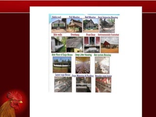 Poultry housing