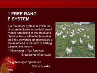1 FREE RANG
E SYSTEM
It is the oldest system in which the
birds are let loose in the field ,usual
ly after harvesting of the crops on r
otational basis within the fenced ar
ea.Birds scavenge an appreciable a
mount of feed in the form of herbag
e,seeds,and insects.
* Advantages : *low food cost
*Great range of behavior
s
*Disadvantages:*predators
*Climatic extre
mes
 