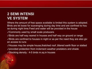 2 SEMI INTENSI
VE SYSTEM
Where the amount of free space available is limited this system is adopted.
Birds are let loose for scavenging during day time and are confined to hou
se during night time.Feed and water will be provided in the house
✓Commonly used by small scale producers
✓Birds are half way reared in houses and half way on ground or range
✓Birds are confined to houses in night or as per the need they are also giv
en access to runs
✓Houses may be simple house,thatched roof ,littered earth floor or slatted
✓provided protection from inclement weather predators and shade
✓Stocking density : 4-5 birds m.sq.in houses
 