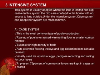 3 INTENSIVE SYSTEM
This system is usually adopted where the land is limited and exp
ensive.In this system the birds are confined to the house with no
access to land outside.Under the intensive system,Cage system
and Deep litter system are most common.
A) CAGE SYSTEM
✓This is the most common type of poultry production.
✓Rearing of poultry on raised wire netting floor in smaller compa
rtments .
✓Suitable for high density of birds
✓Auto operated feeding trolleys and egg collection belts can also
be used
✓Initailly used for individual eggs ,pedigree recording and culling
for poor layers
✓At present 75percent of commercial layers are kept in cages an
d reared
 