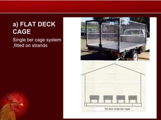 a) FLAT DECK
CAGE
Single tier cage system
,fitted on strands
 