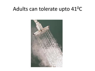 Adults can tolerate upto 410C
