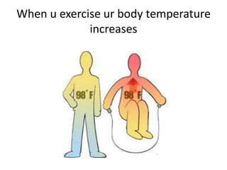 When u exercise ur body temperature increases