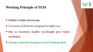 Tem Even tem presentation and its detail.pptslides | PPT
