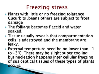  Plants with little or no freezing tolarance
Cucurbits ,beans others are subject to frost
damage
 The folliage becomes flaccid and water
soaked.
 Tissue usually reveals that compartmentation
cells is adestroyed and the membrane are
leaky.
 External tempreture need be no lower than -1
to -3°C. There may be slight super cooling
but nucleation happens inter cellular freezing
of sus ceptical tissues of these types of plants
occurs.
 