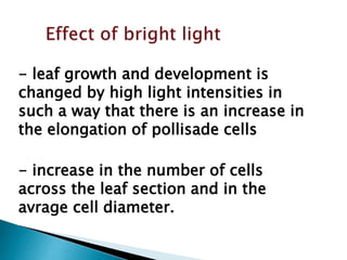 - leaf growth and development is
changed by high light intensities in
such a way that there is an increase in
the elongation of pollisade cells
- increase in the number of cells
across the leaf section and in the
avrage cell diameter.
 